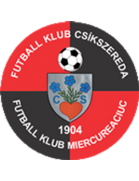 Home Team Logo