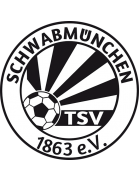 Away Team Logo